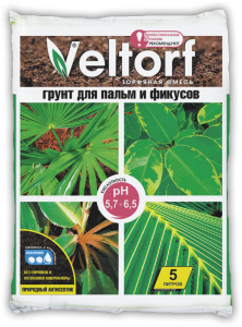 Пальмы-и-фикусы-5_id_196_id_244_1920_1080_0356727